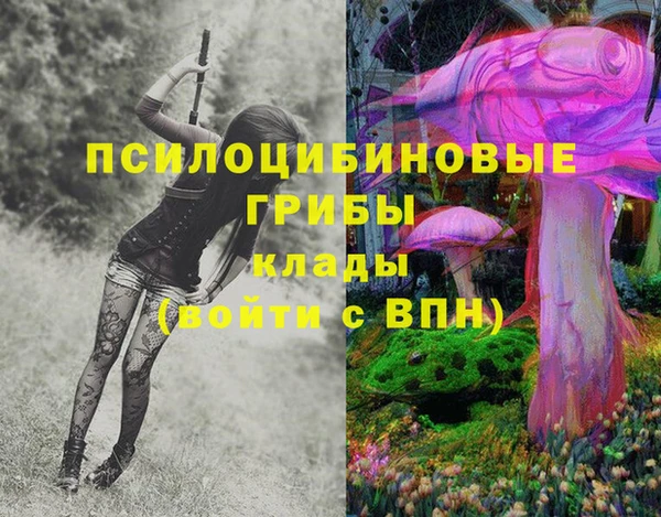 ПСИЛОЦИБИНОВЫЕ ГРИБЫ Алексеевка