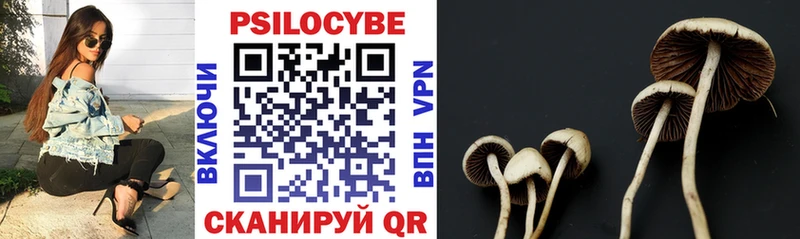 Галлюциногенные грибы GOLDEN TEACHER  hydra как зайти  Назрань 
